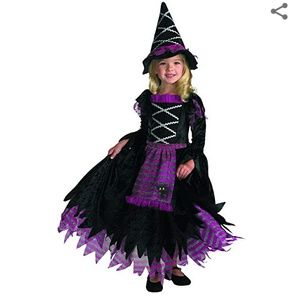 Fairytale Witch Costume